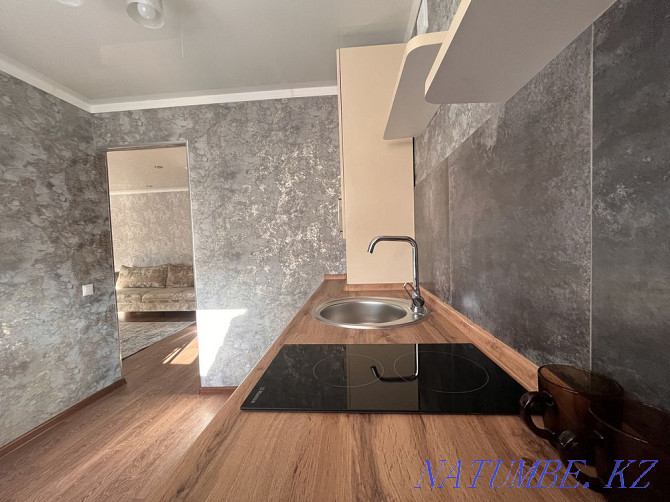  apartment with hourly payment Karagandy - photo 9