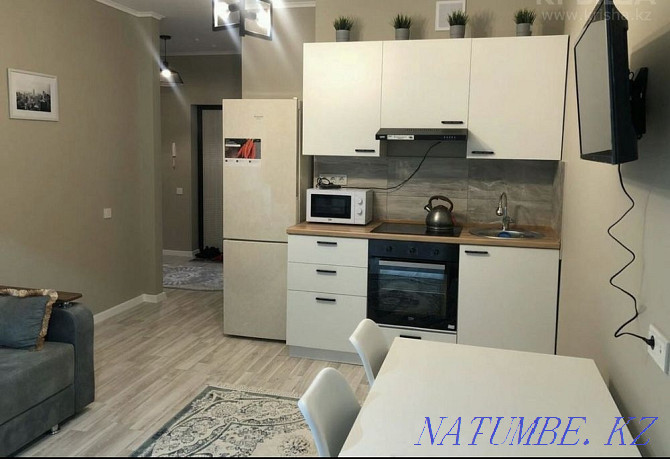  apartment with hourly payment Astana - photo 4