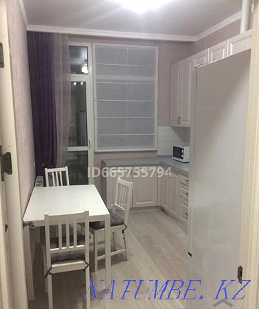  apartment with hourly payment Astana - photo 5