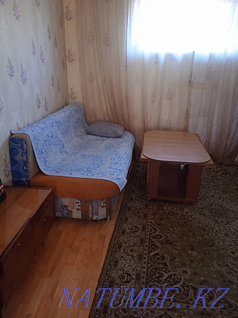  apartment with hourly payment Shchuchinsk - photo 9