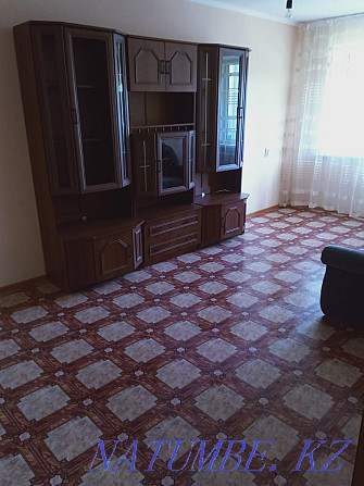  apartment with hourly payment Temirtau - photo 7