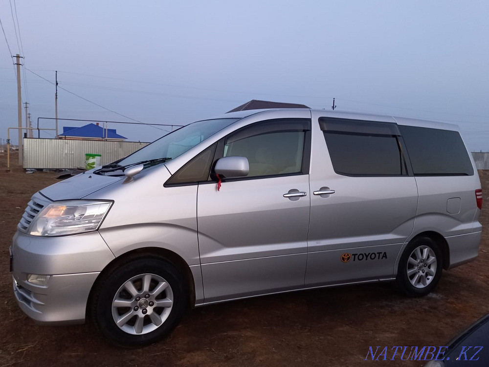 Toyota Alphard    year  - photo 2