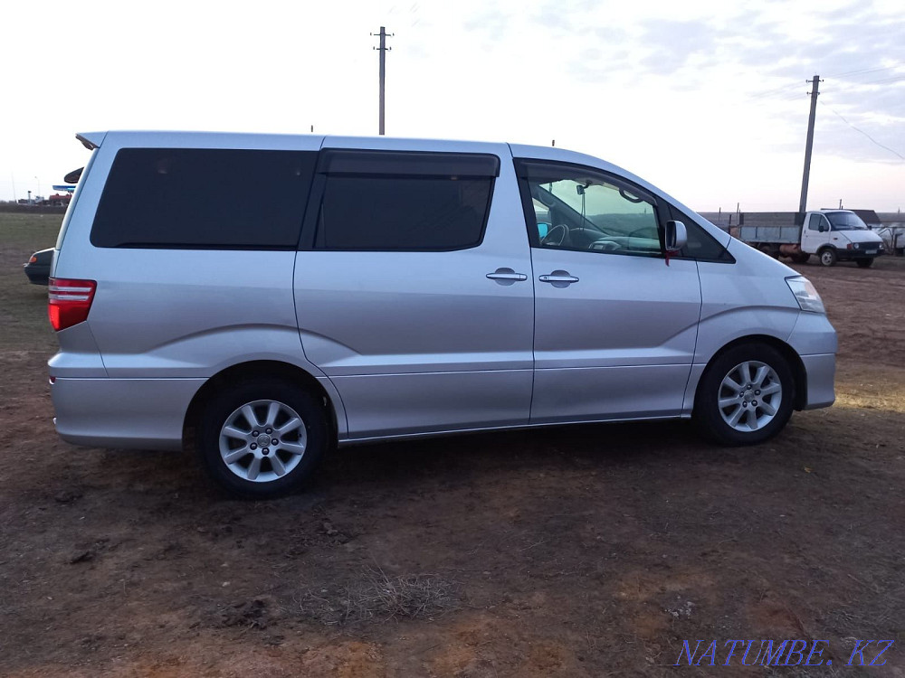 Toyota Alphard    year  - photo 3
