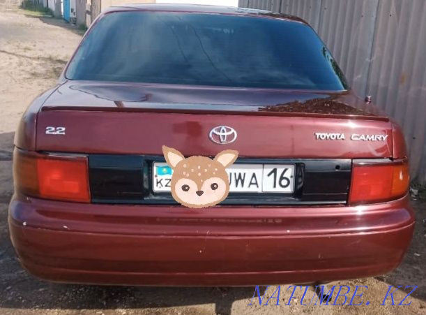 Жылдың Toyota Camry  отбасы  - изображение 1