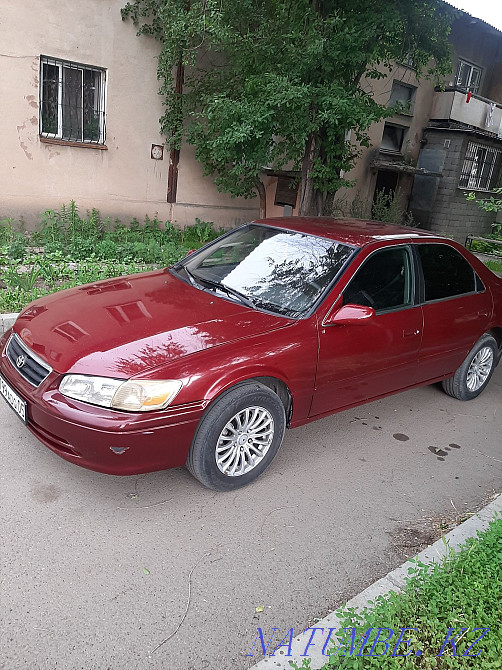 Toyota Camry    year Узынагаш - photo 1