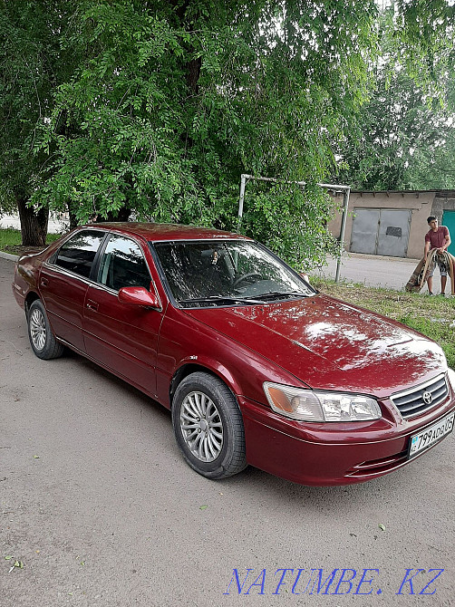 Toyota Camry    year Узынагаш - photo 2