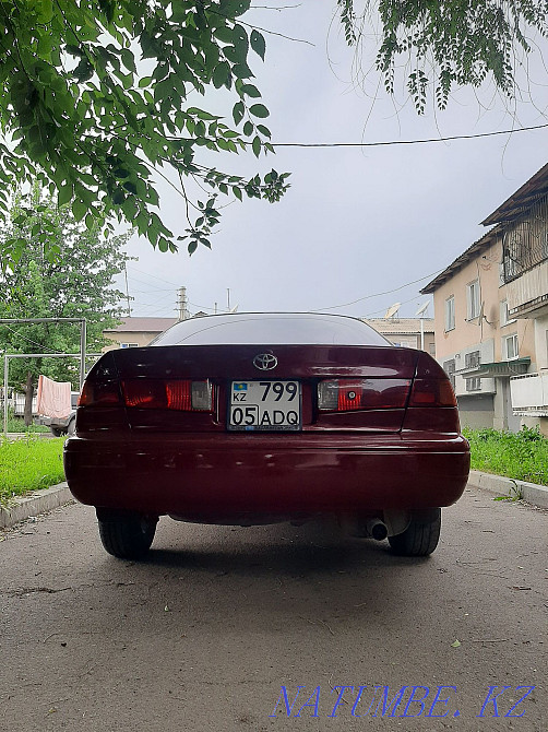 Toyota Camry    year Узынагаш - photo 4