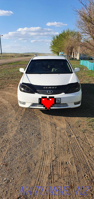 Жылдың Toyota Camry  отбасы  - изображение 8