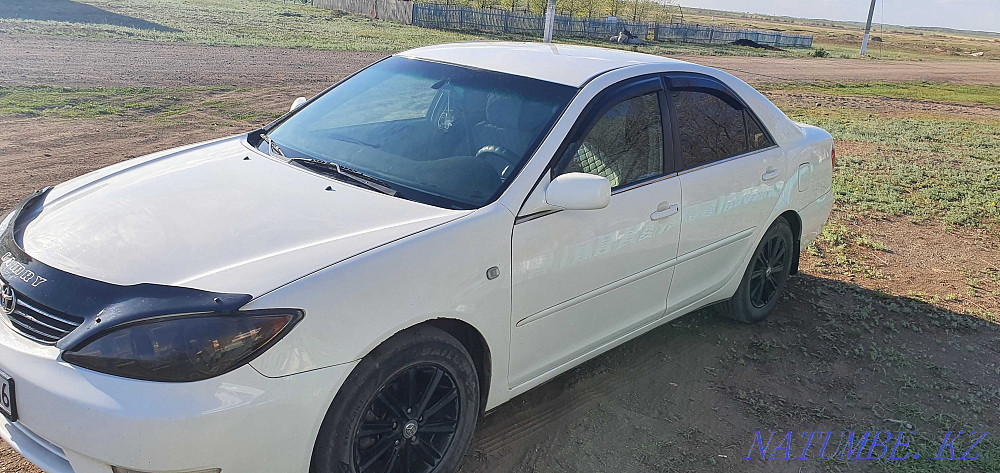 Жылдың Toyota Camry  отбасы  - изображение 7