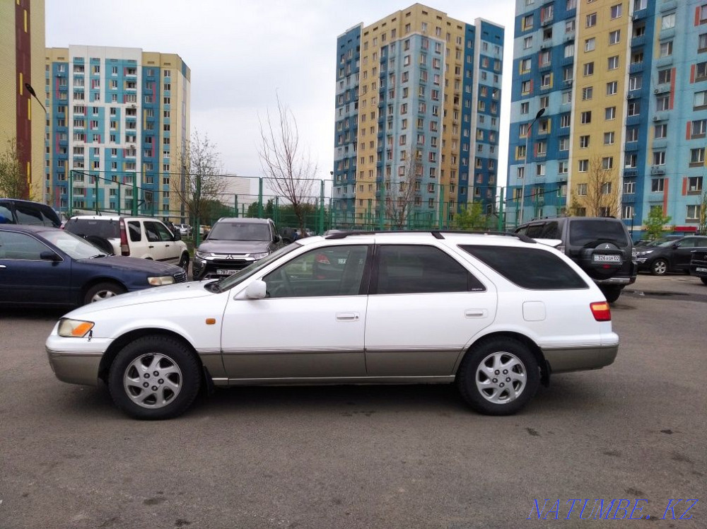 Toyota Camry    year  - photo 6