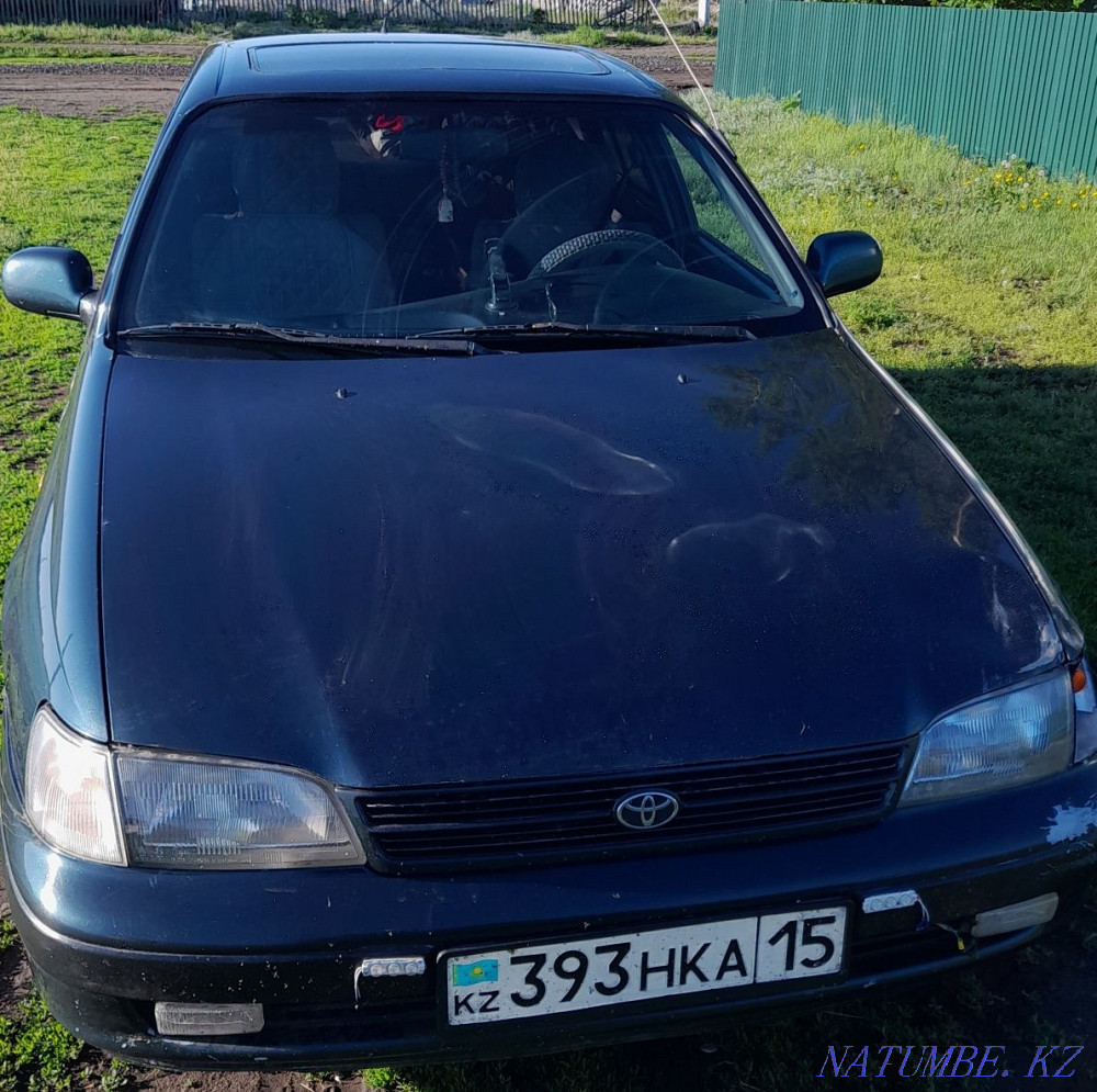 Жылдың Toyota Comfort  - изображение 3