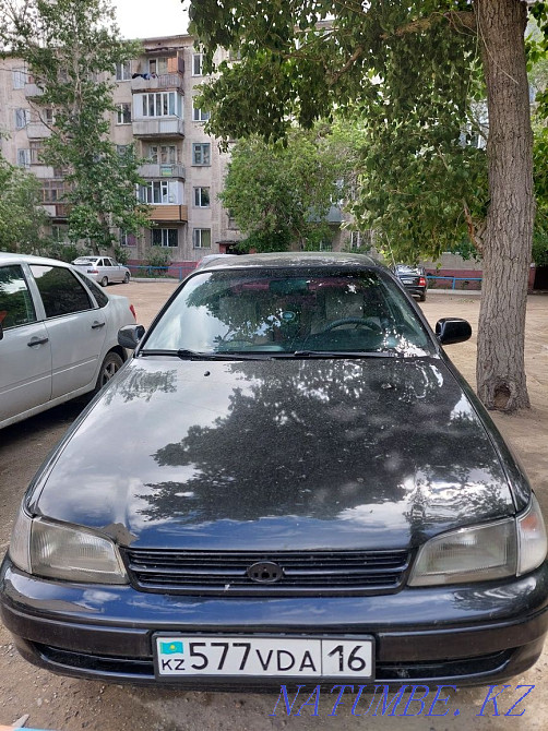 Toyota Corolla    года Семей - изображение 2