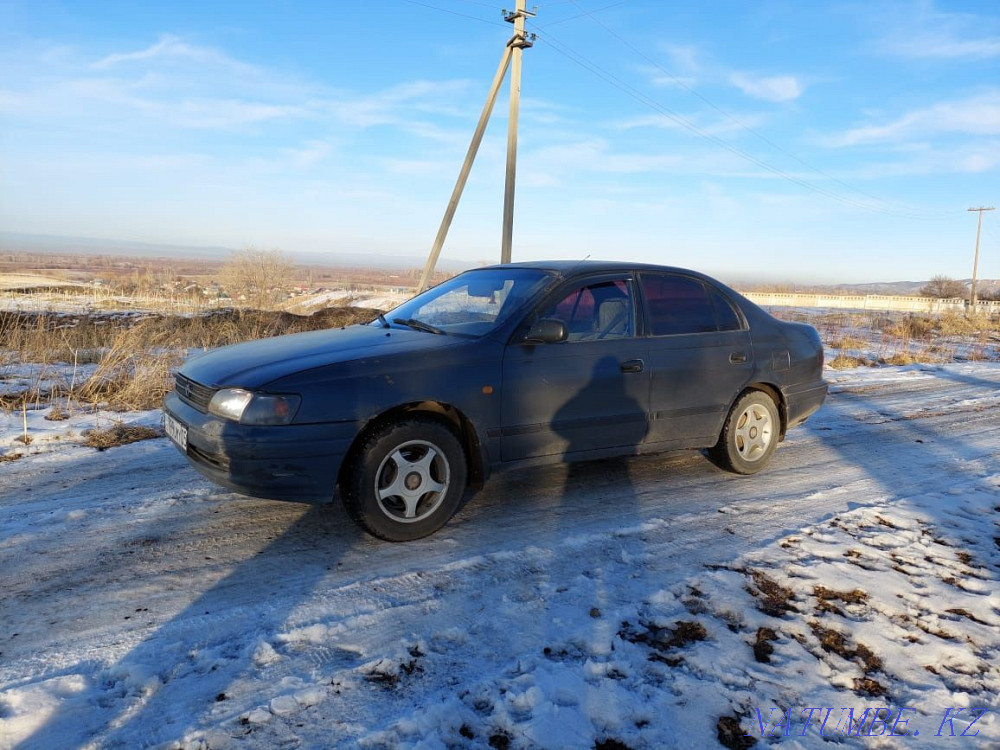 Toyota Corolla RunX    year Urochishche Talgarbaytuma - photo 3