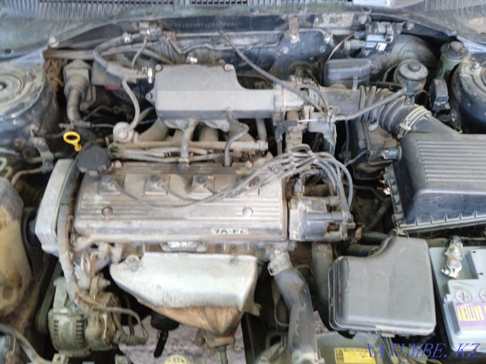 Toyota Ipsum    года Шымкент - изображение 5