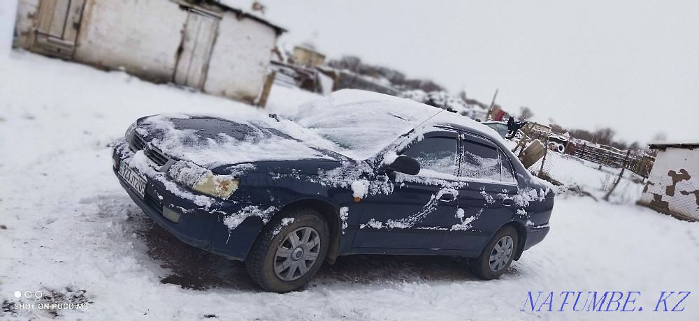 Toyota Passo    year Алгабас - photo 10