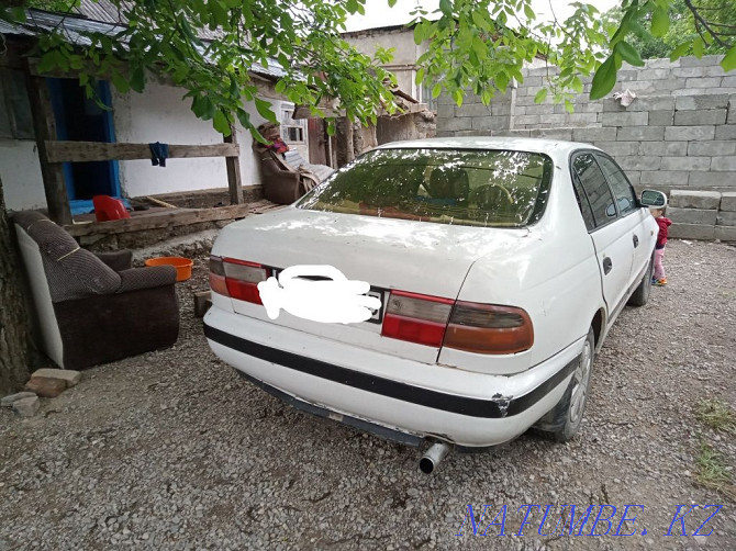 Жылдың Toyota Voltz  - изображение 1