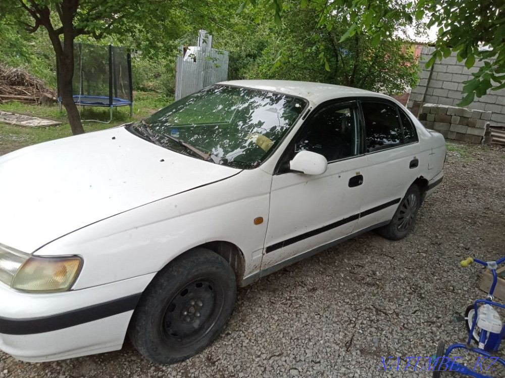 Toyota Voltz    year  - photo 6