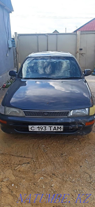 Toyota Corolla    year Kokshetau - photo 3
