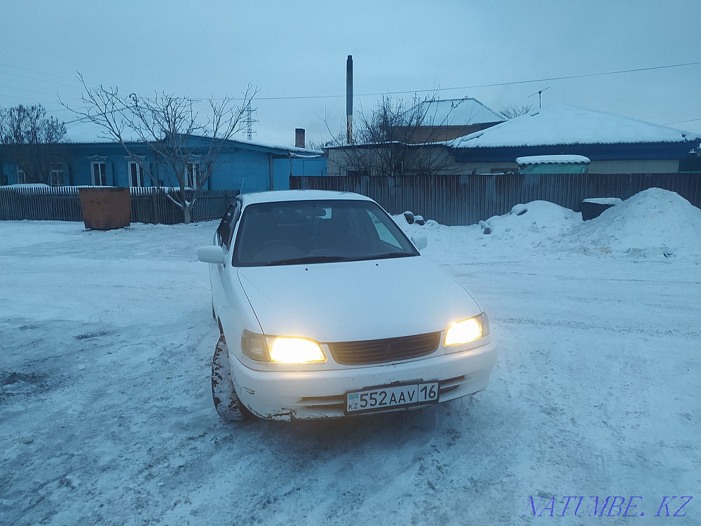 Жылдың Toyota Corolla  отбасы  - изображение 2