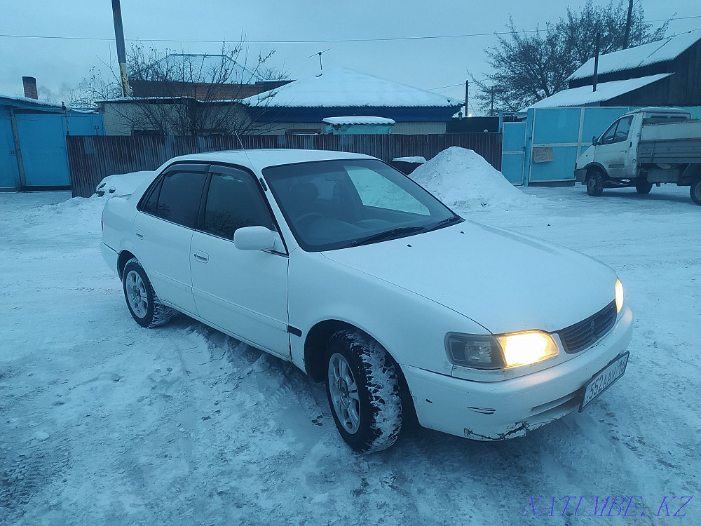 Жылдың Toyota Corolla  отбасы  - изображение 3