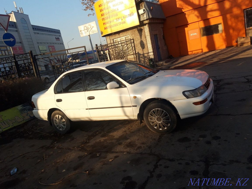 Toyota Corolla    года Алматы - изображение 3