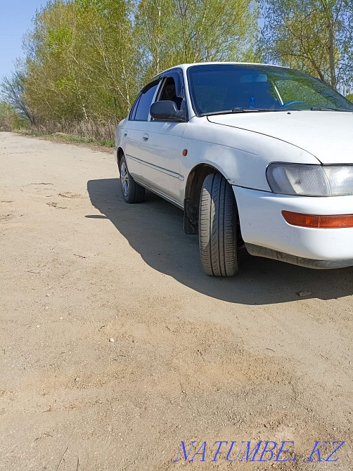 Toyota Corolla    year Shemonaikha - photo 1