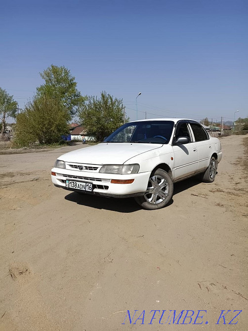Toyota Corolla    year Shemonaikha - photo 3