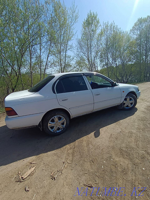 Toyota Corolla    year Shemonaikha - photo 2