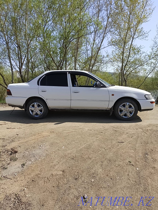 Toyota Corolla    year Shemonaikha - photo 4