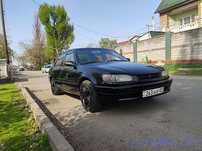 Toyota Corolla    года Алматы - изображение 2