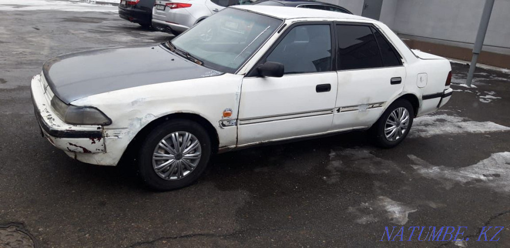 Toyota Corolla    года Ескельди би - изображение 4