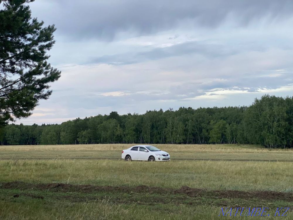 Toyota Corolla    year Kokshetau - photo 2