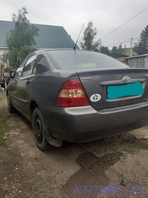 Toyota Corolla    year Kokshetau - photo 3