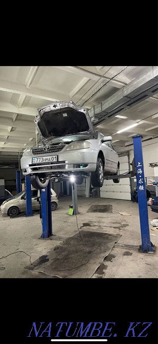 Toyota Corolla    года  - изображение 3