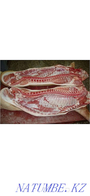 Продам свиней 1600 тенге Щучинск - изображение 1