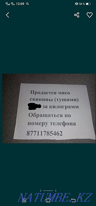 Sell pig carcasses Ust-Kamenogorsk - photo 1