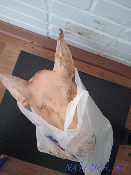 Продам свиные головы  - изображение 1