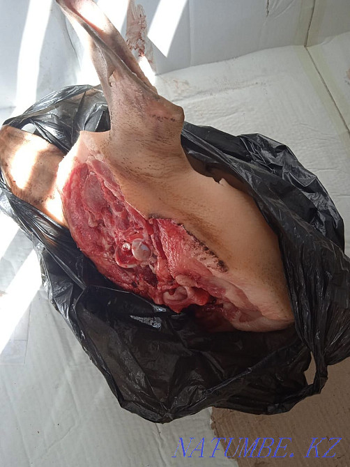 Продам свиные головы  - изображение 3