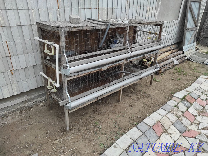 Cage for chickens and rabbits  - photo 1
