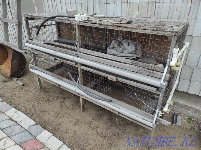 Cage for chickens and rabbits  - photo 2