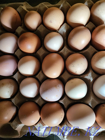 Продаю, яйцо от домашних курей всегда свежие и в наличии возможна дос  - изображение 1
