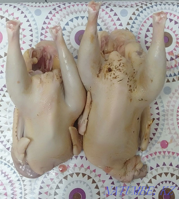 Bouillon chickens  - photo 1