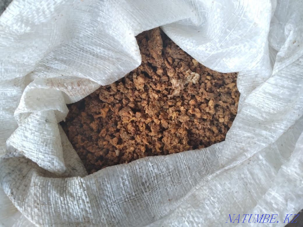 Feed for pigs, feed for chickens, feed for cows, feed for dogs, compound feed  - photo 1