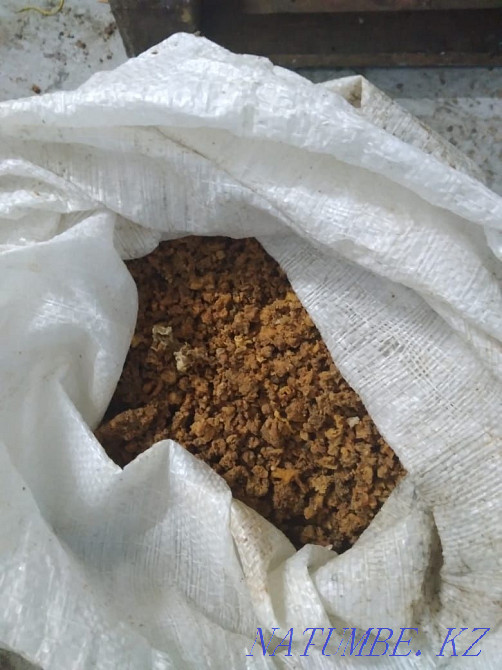 Feed for pigs, feed for chickens, feed for cows, feed for dogs, compound feed  - photo 3