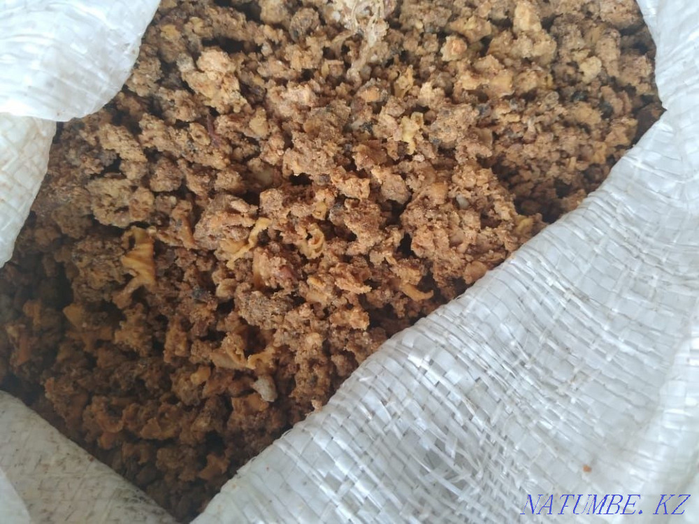 Feed for pigs, feed for chickens, feed for cows, feed for dogs, compound feed  - photo 2