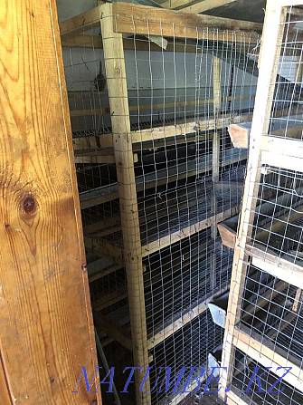 Sell chicken cages  - photo 3