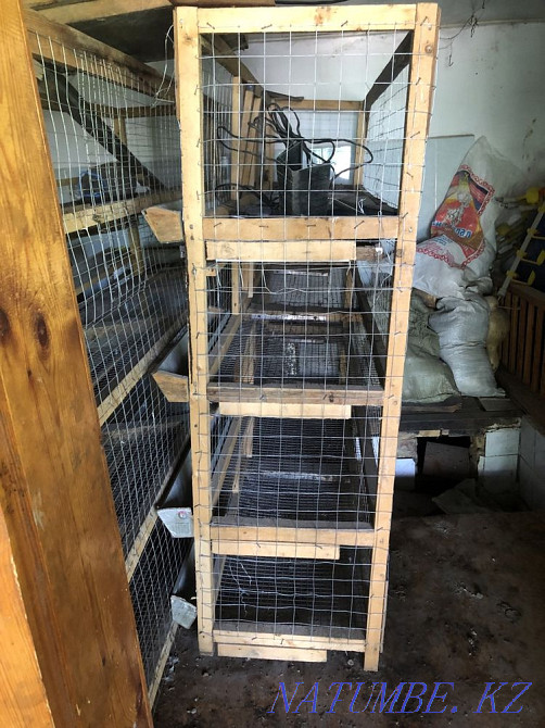 Sell chicken cages  - photo 1