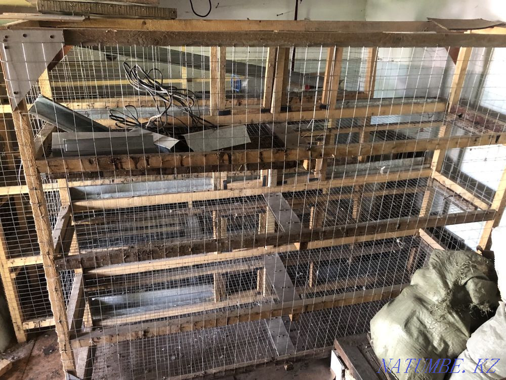 Sell chicken cages  - photo 2