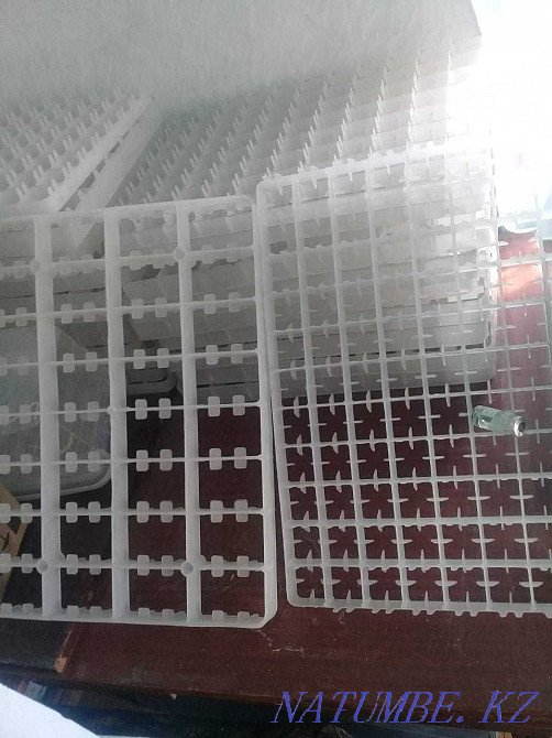 Balapan steam room for breeding geese, ducks, chickens, turkeys.  - photo 1