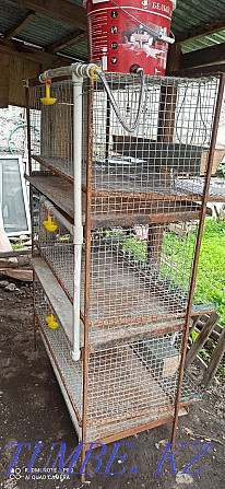 Chicken cage  - photo 2